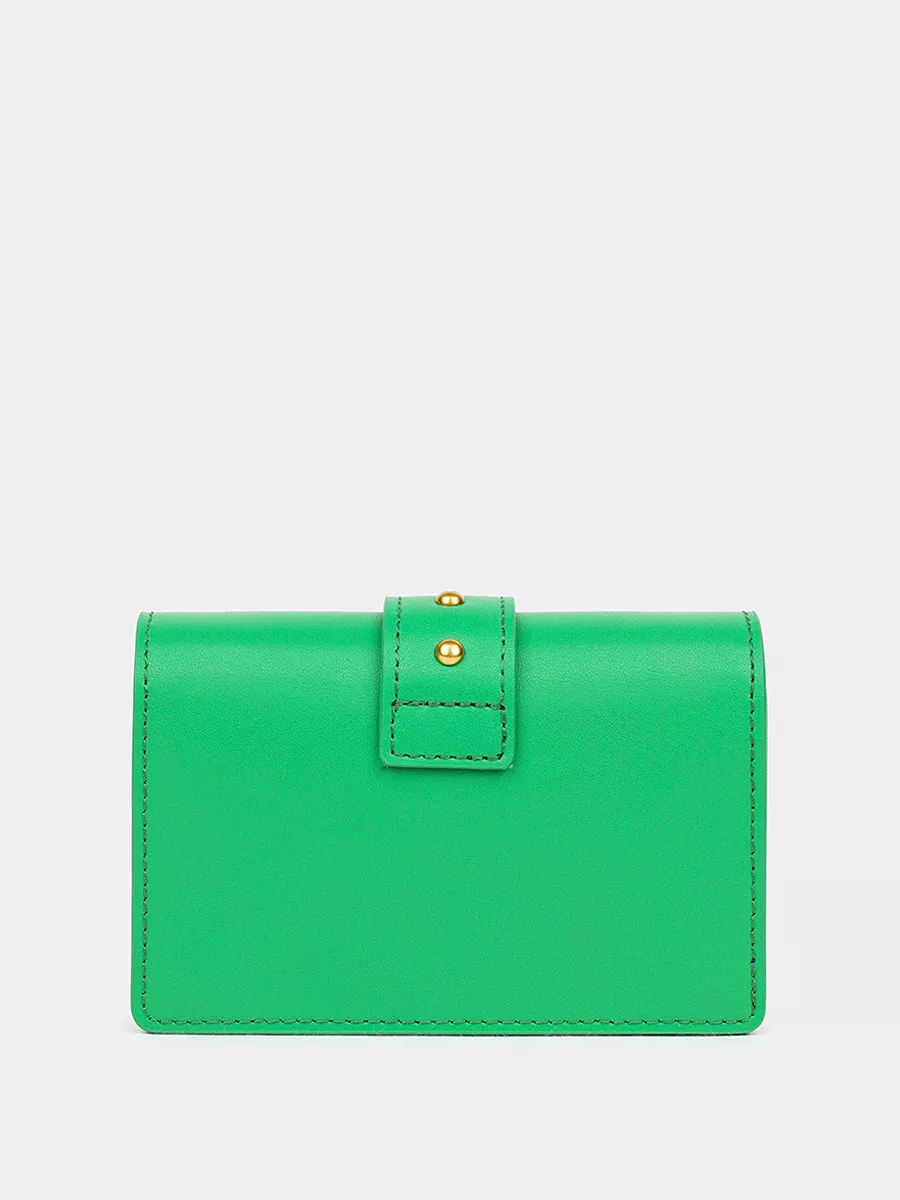 Классическая кожаная сумка Rosie цвет травяной